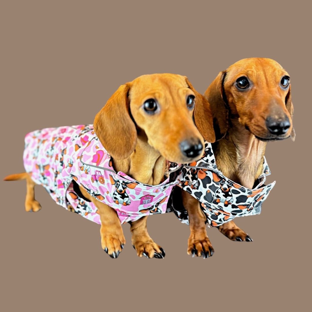 Howdy Cowgirl 'Dach-A-Mac' Dachshund Rain Mac In Bag