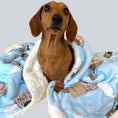 Load image into Gallery viewer, Blanket - Up, Up & Away
