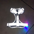Load image into Gallery viewer, Reflective Flashing Dachshund Harness - Glow Getter
