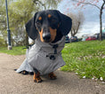 Load image into Gallery viewer, Sausage Dog Coat - Glow Getter - Reflective Light Up LED Dachshund Coat
