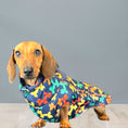 Load image into Gallery viewer, Navy Thermal Dachshund Puffer Coat With Inbuilt Harness Balloon Sausage Dog
