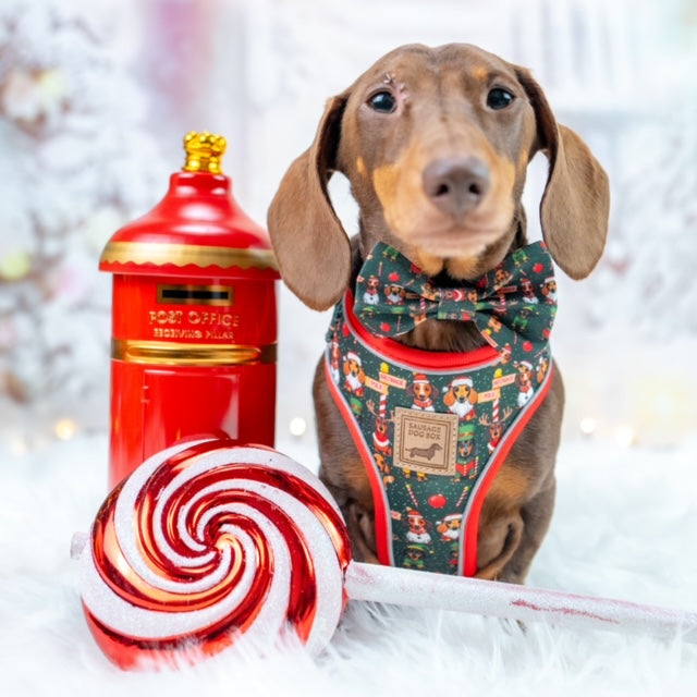 Sausage Pole Anti-Rub Dachshund Christmas Harness