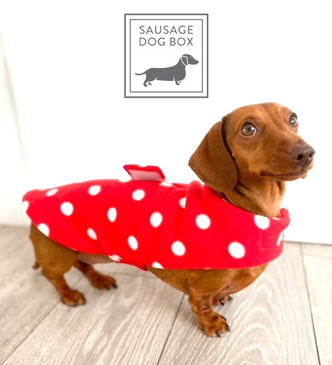 Sausage Dog Box Designer Red Polka Dot 'Minnie' Fleece Coat