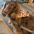 Load image into Gallery viewer, Bandana - Weiner On Wheels
