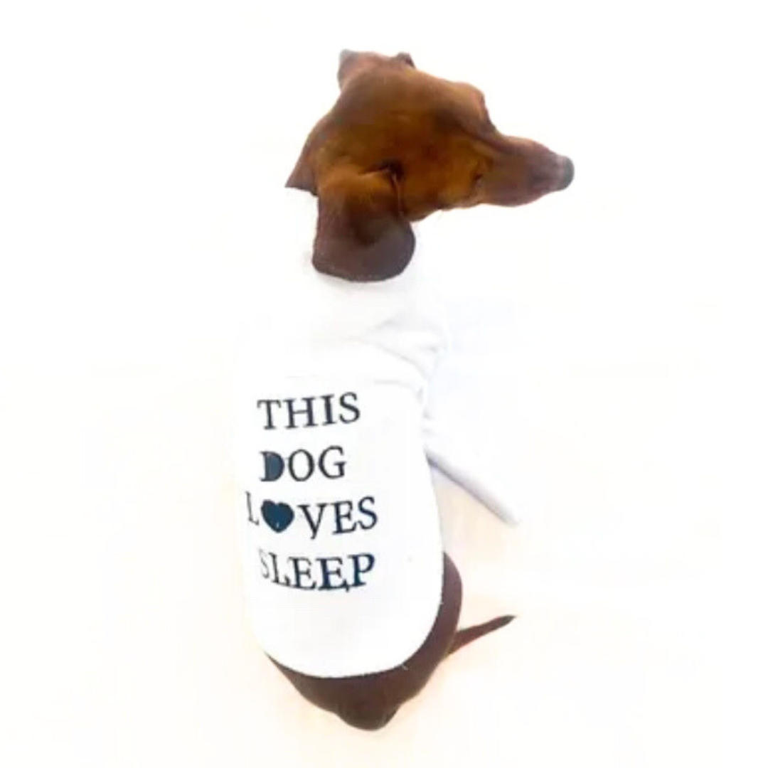 CLEARANCE - Sausage Dog Box, Dachsund Dressing Gown / Bath Robe