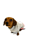 Load image into Gallery viewer, Sausage Dog Box Dachshund Bunny Jumper
