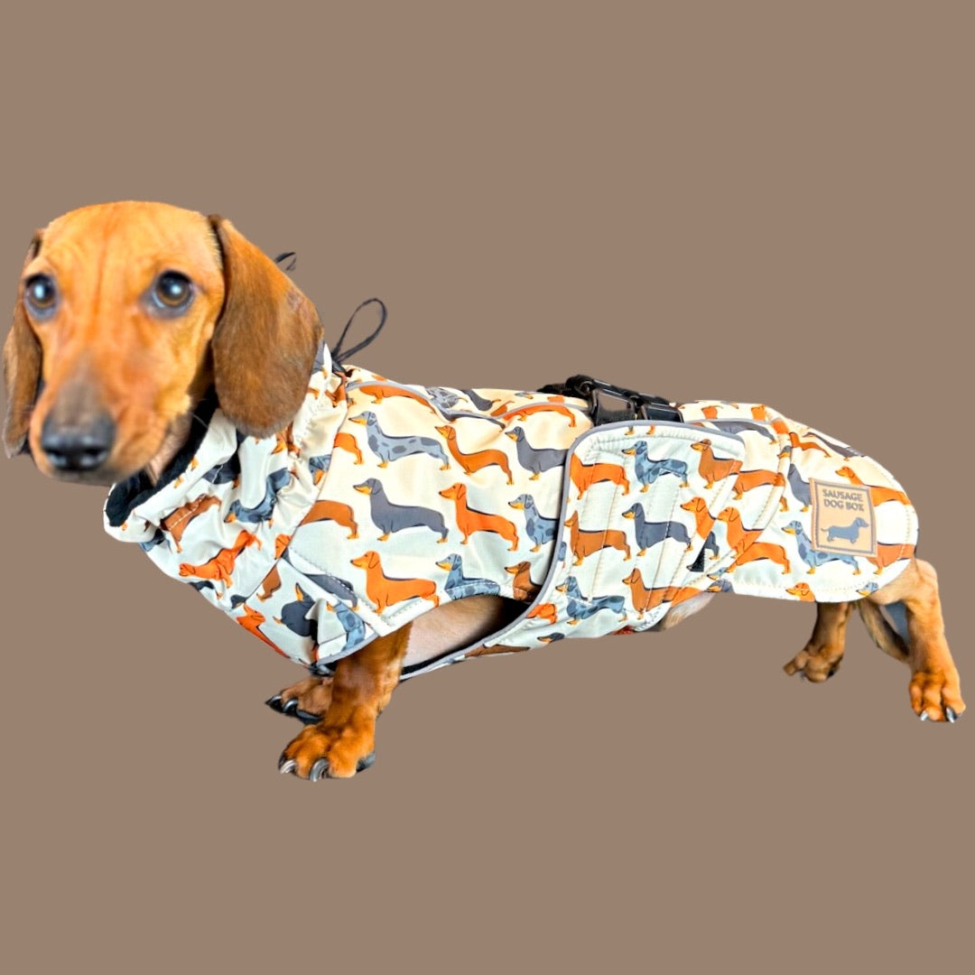 Beige Sophisticated Sausage Waterproof Polartec Fleece Dachshund Dog Coat