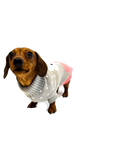 Load image into Gallery viewer, Sausage Dog Box Dachshund Bunny Jumper
