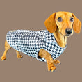 Load image into Gallery viewer, Houndstooth 'Dach-A-Mac' Dachshund Rain Mac In Bag Sausage Dog Box Folda
