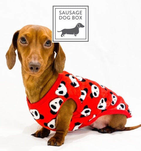 Sausage Dog Box Dachshund PJ Jumper - Red Panda