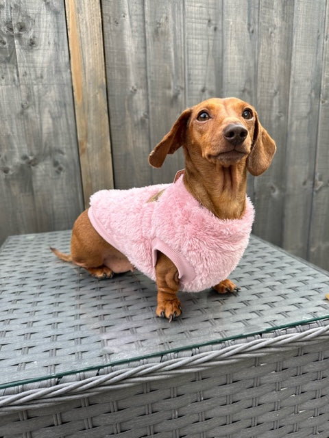 Dachshund Snuggle Fleece - Blush Pink