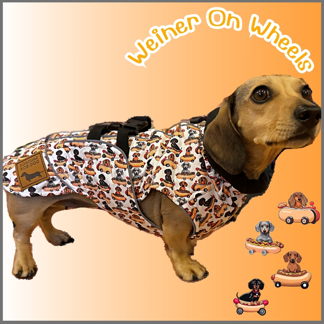 Weiner On Wheels Polartec Waterproof Dachshund Coat - Sausage Dog Box