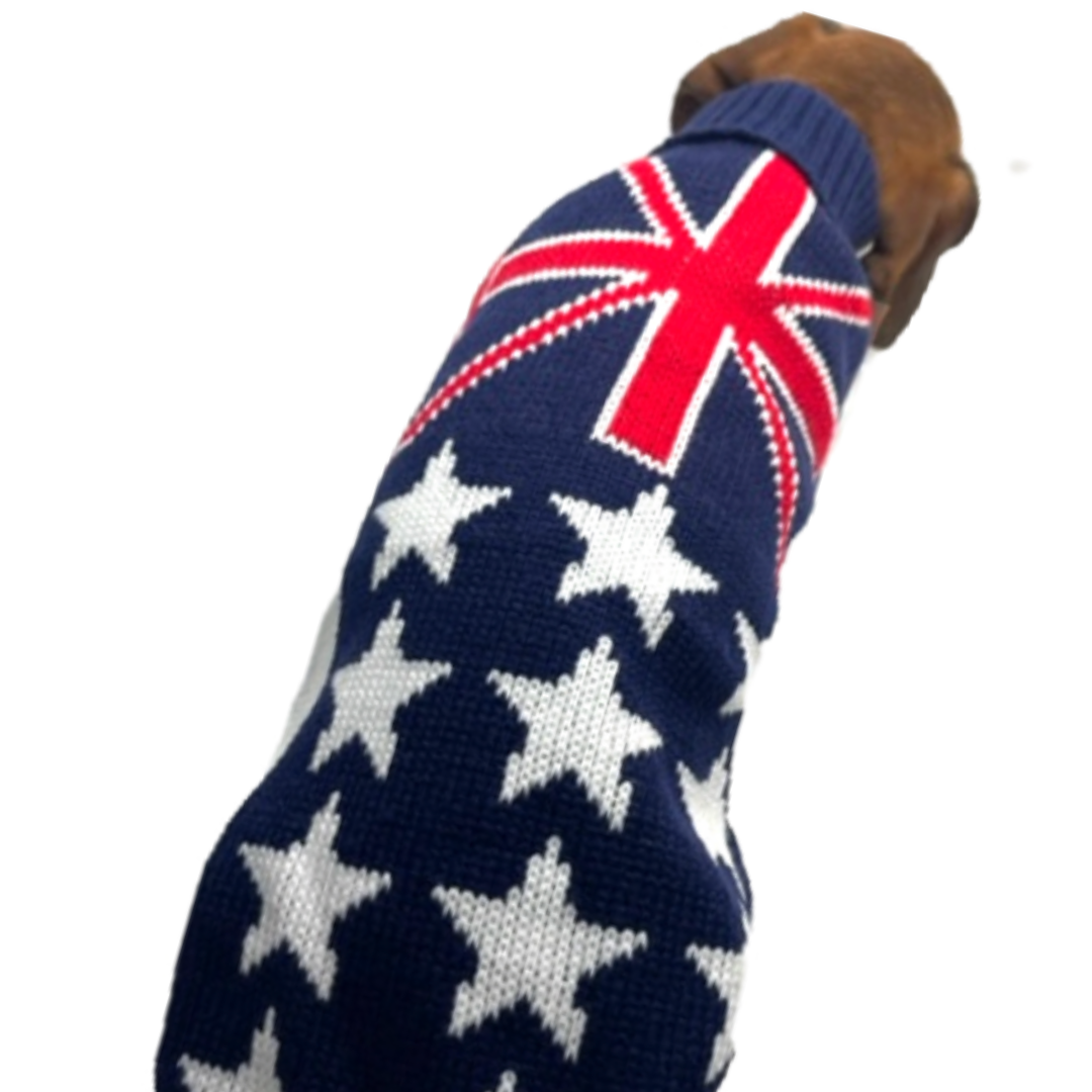 Sausage Dog Box Dachshund Flag Jumper