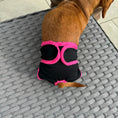 Load image into Gallery viewer, Sausage Dog Box Dog Season Knickers/Pants
