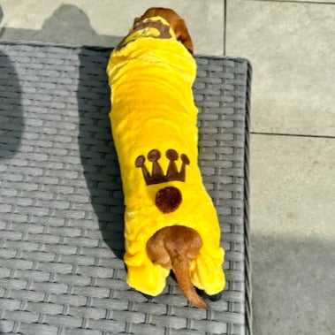 Sausage Dog Outfit - Lion Costume