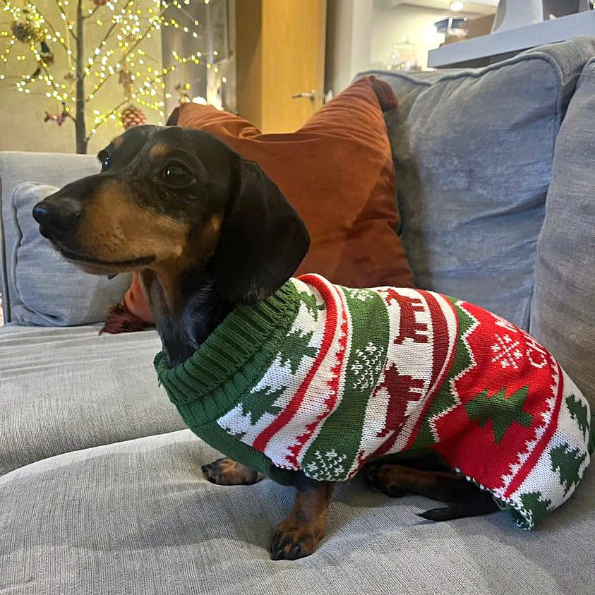 Sausage Dog Box Merry Christmas Dachshund Jumper