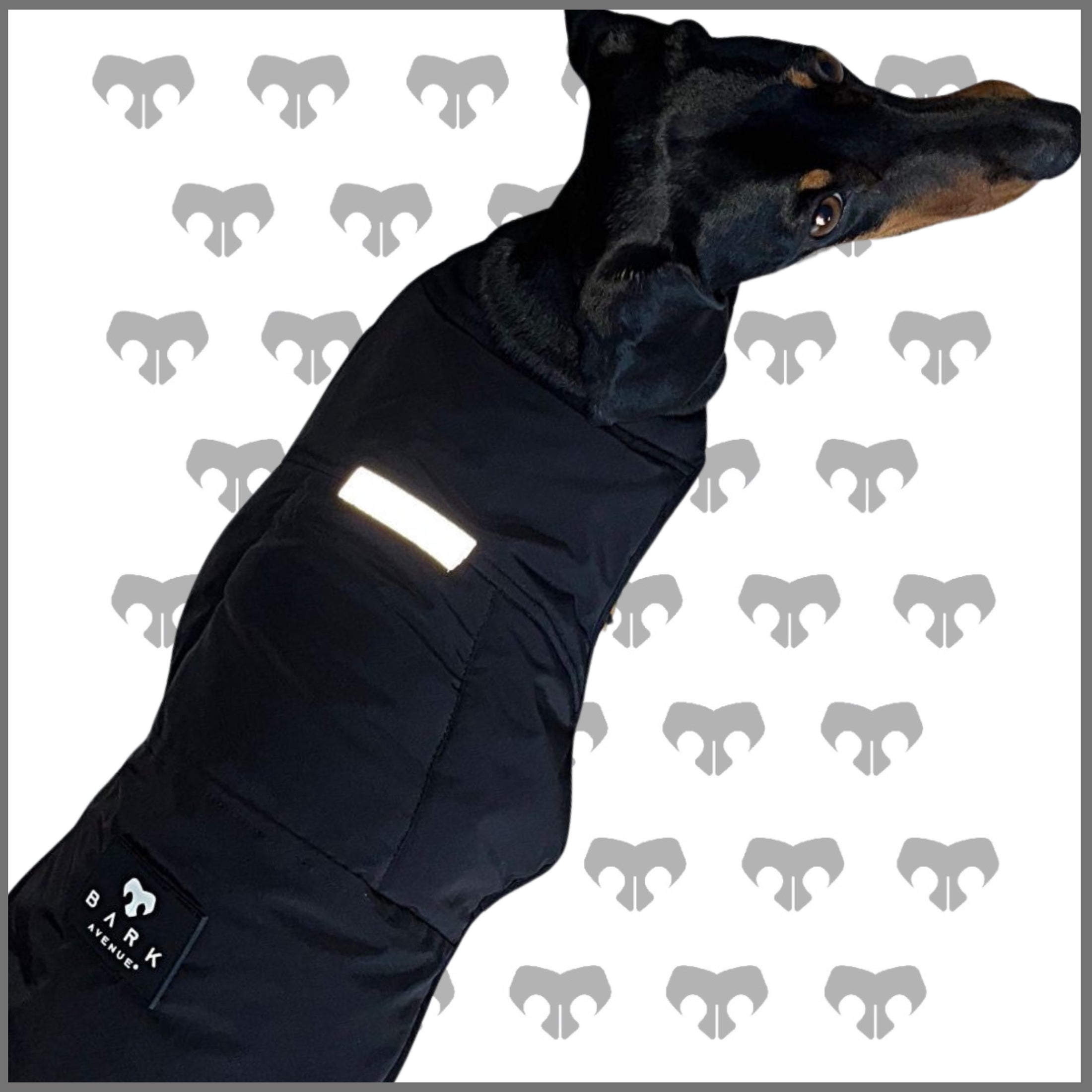 BARK AVENUE Luxury Ultimate Explorer Coat - Black