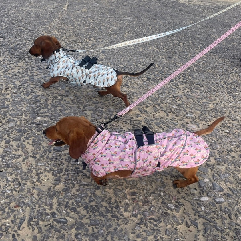 Blue Dachshund Coat 'Up Up and Away' Waterproof With PolarTec Fleece