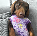 Load image into Gallery viewer, Purple Pitter Patter Paws - Sausage Dog Box Dachshund PJ's/Jumper
