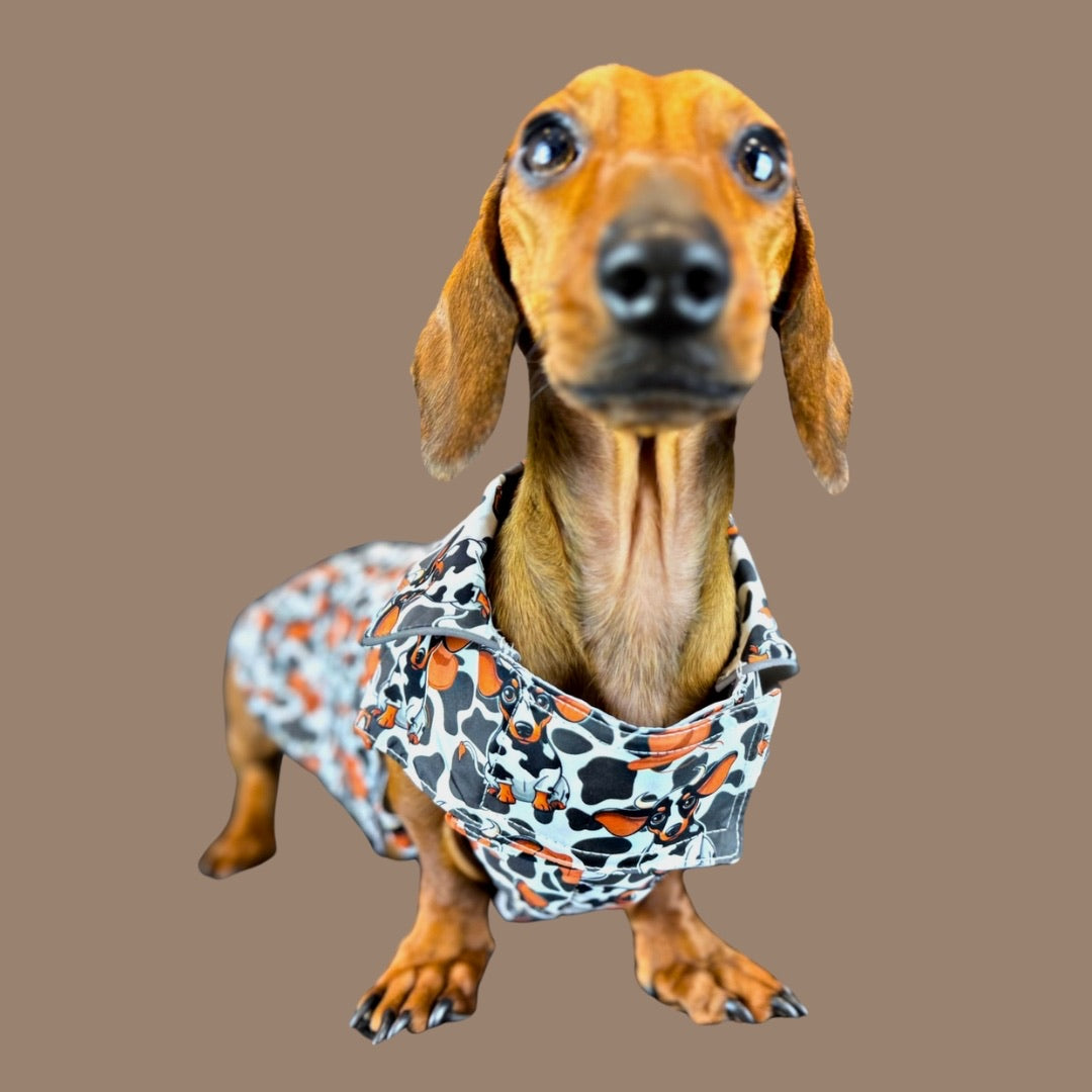 Howdy Cowboy 'Dach-A-Mac' Dachshund Rain Mac In Bag Sausage Dog Box Coat