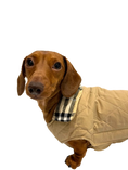 Load image into Gallery viewer, Sausage Dog Box Dachshund Reversible Plaid Coat Beige

