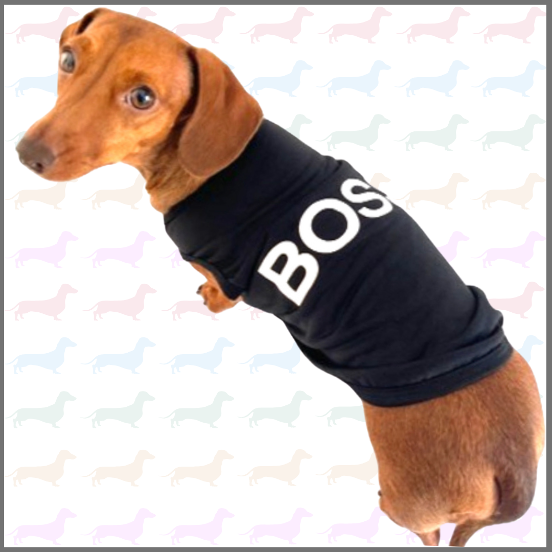 CLEARANCE - Sausage Dog Box Boss Vest