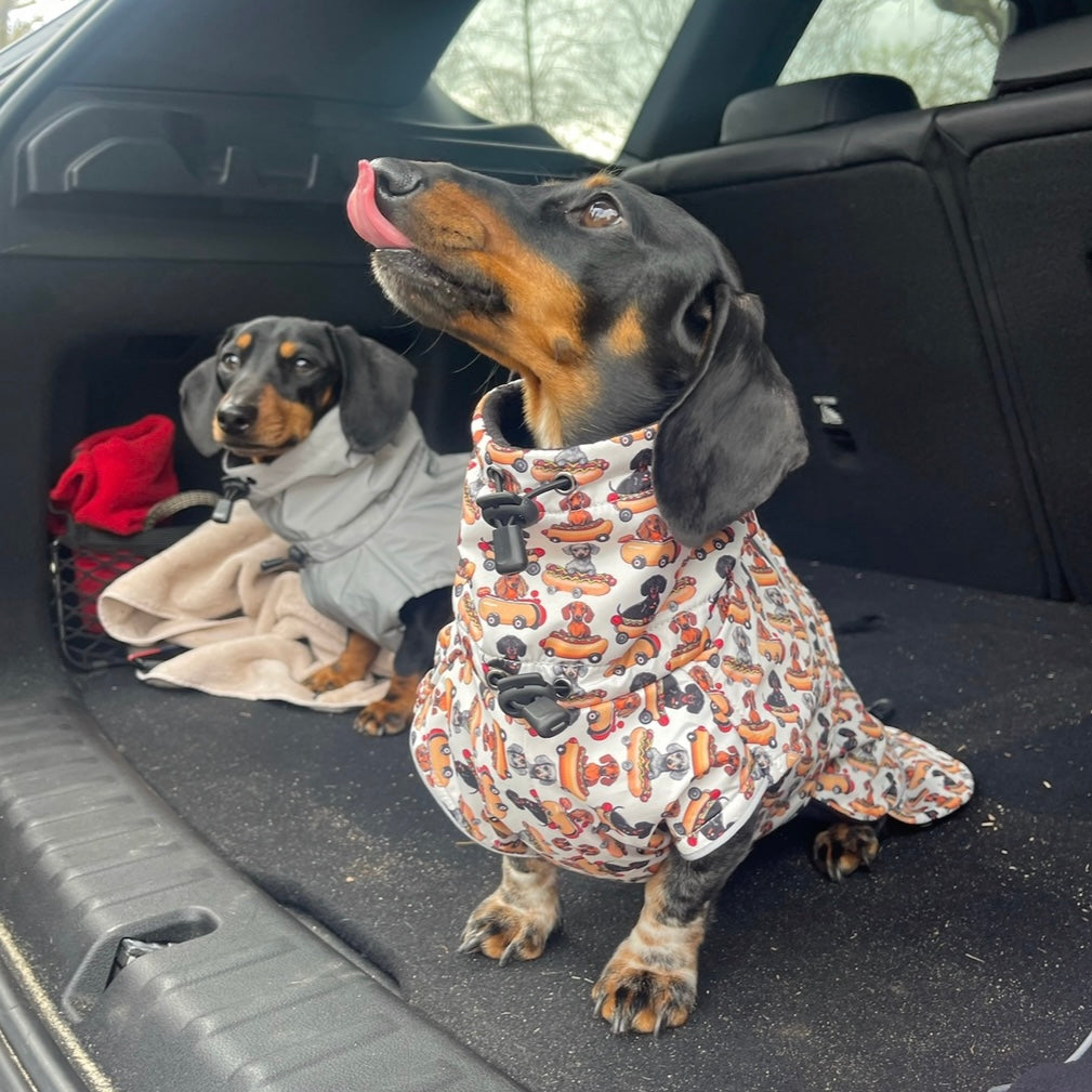 Weiner On Wheels Polartec Waterproof Dachshund Coat - Sausage Dog Box