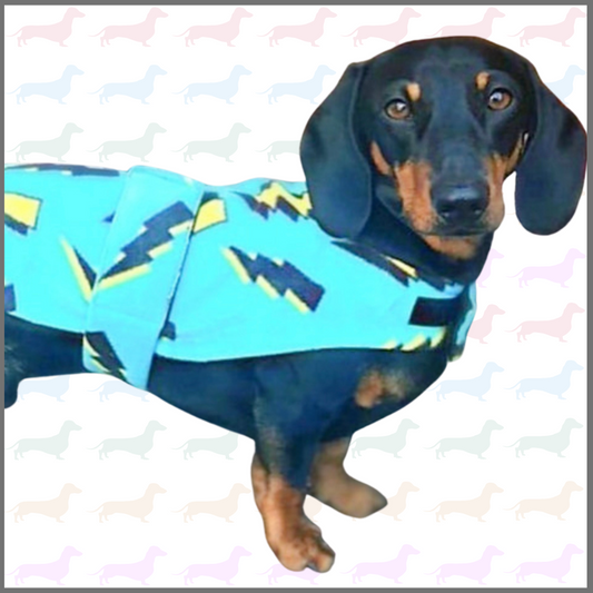 Sausage Dog Box Designer Fleece Waterproof 'Lightning Bolt' Coat