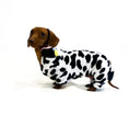 Load image into Gallery viewer, CLEARANCE - Sausage Dog Box, Dachshund Cute Cow Outfit
