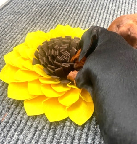 Sausage Dog Box, Dachshund Sunflower Anxiety Snuffle Mat