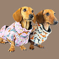 Load image into Gallery viewer, Beige Sophisticated Sausage Waterproof Polartec Fleece Dachshund Dog Coat
