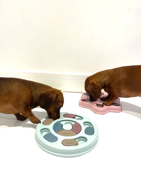Sausage Dog Box Anxiety Round Treat Puzzle