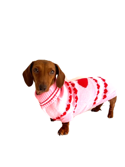 Sausage Dog Box Dachshund ‘Be Mine’ Love Heart Pink Jumper