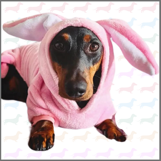 Dachshund Bunny Outfit