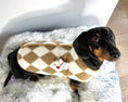 Load image into Gallery viewer, CLEARANCE - Sausage Dog Box Dachshund Teddy Bear Waistcoat - Brown
