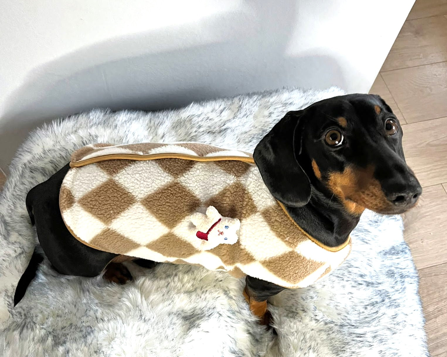 CLEARANCE - Sausage Dog Box Dachshund Teddy Bear Waistcoat - Brown