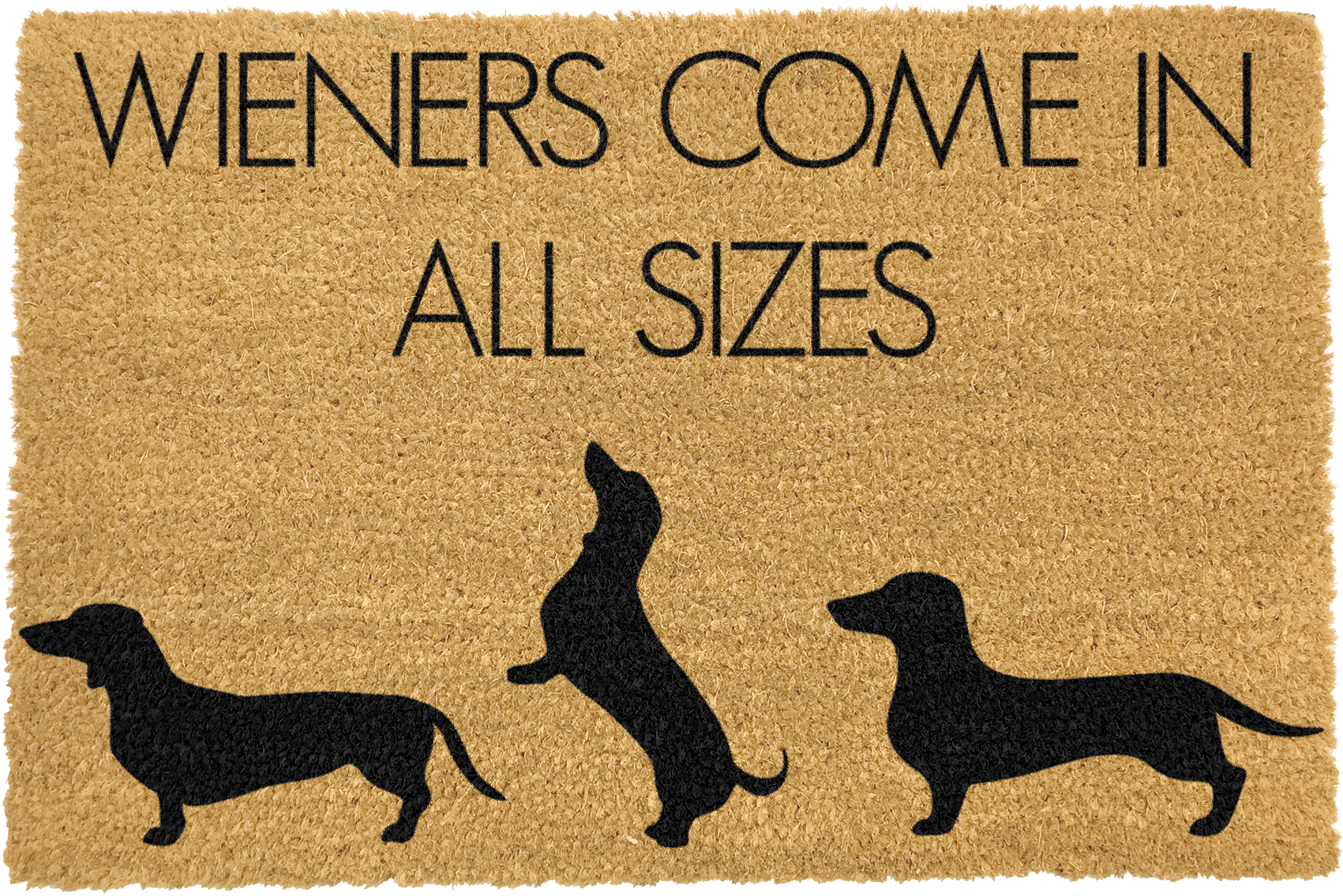 Sausage Dog Box, Dachshund Wieners Doormat