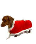 Load image into Gallery viewer, Sausage Dog Box Dachshund Christmas Santa Cape Outfit With Bells
