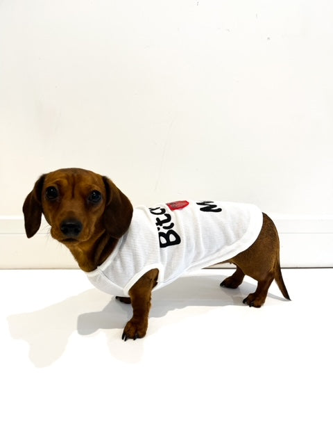 CLEARANCE - Sausage Dog Box B*tches Love Me Vest