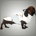 Load image into Gallery viewer, Sausage Dog Coat - Glow Getter - Reflective Light Up LED Dachshund Coat

