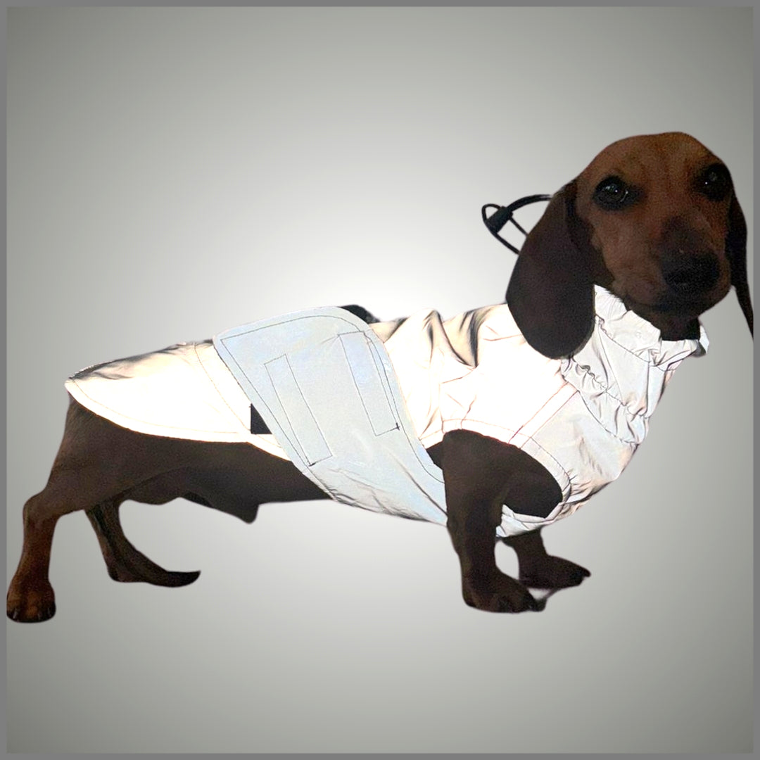 Sausage Dog Coat - Glow Getter - Reflective Light Up LED Dachshund Coat
