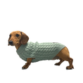 Load image into Gallery viewer, Forest Moss Luxury Cable Knit Dachshund Jumper - Sausage Dog Box
