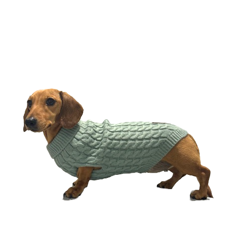 Forest Moss Luxury Cable Knit Dachshund Jumper - Sausage Dog Box