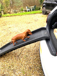 Load image into Gallery viewer, Sausage Dog Box, Dachshund Folding Car Ramp for Dachshund Sausage Dog
