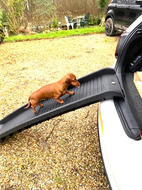 Sausage Dog Box, Dachshund Folding Car Ramp for Dachshund Sausage Dog