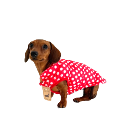 Sausage Dog Box Polka Puffer Coat