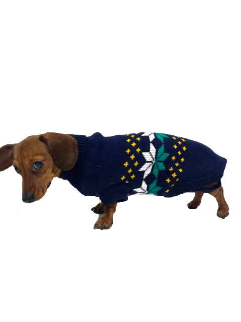 CLEARANCE - Sausage Dog Box Dachshund Navy & Green Leaf Jumper