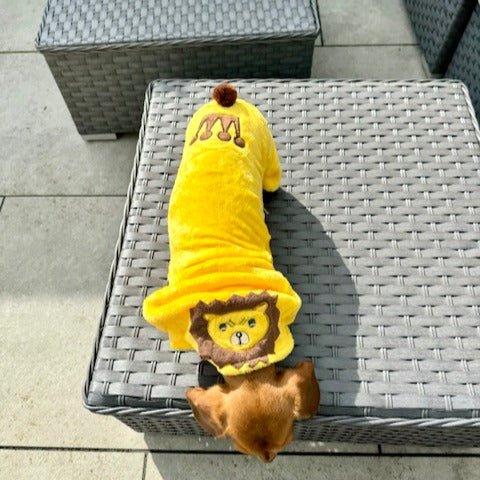 Sausage Dog Outfit - Lion Costume