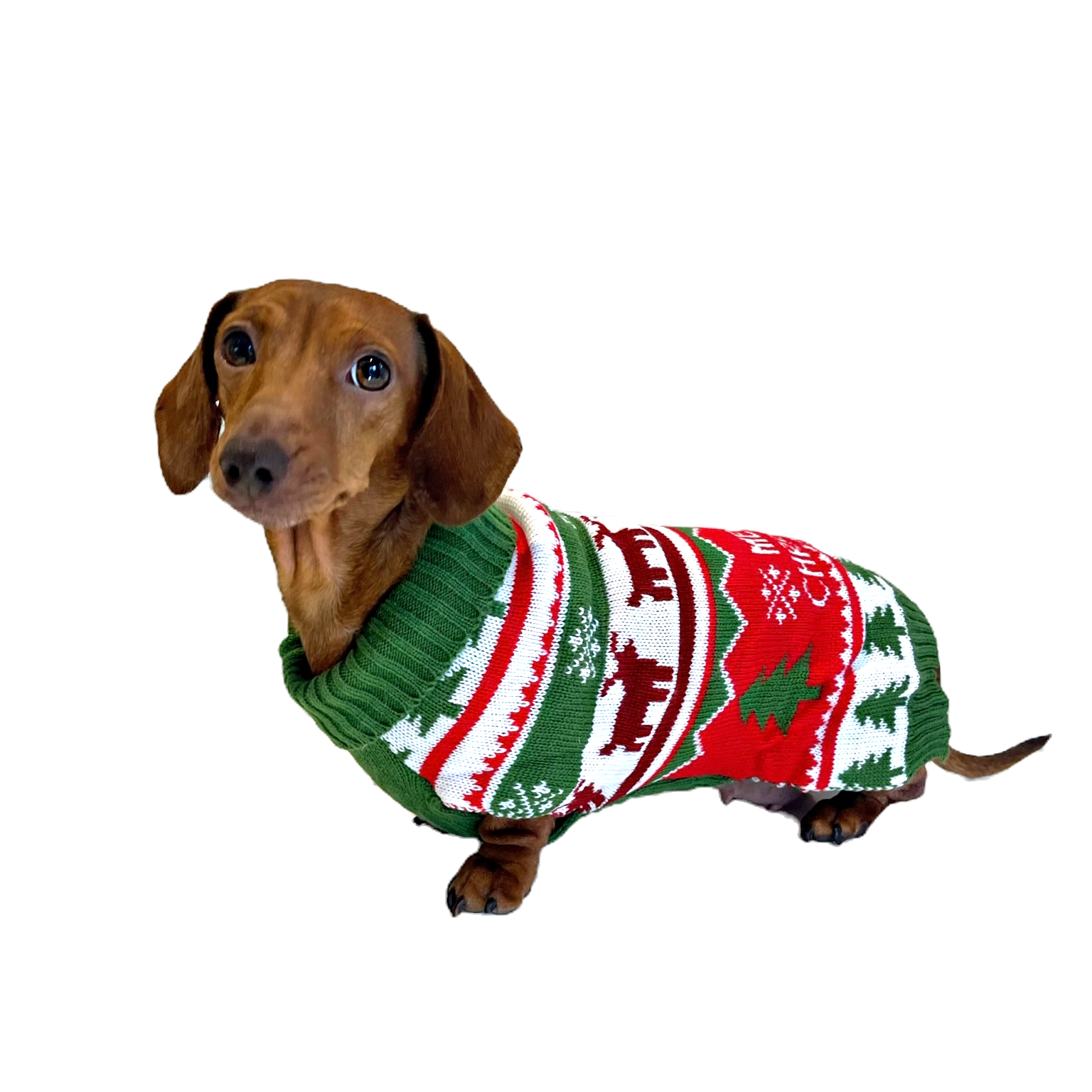 Sausage Dog Box Merry Christmas Dachshund Jumper