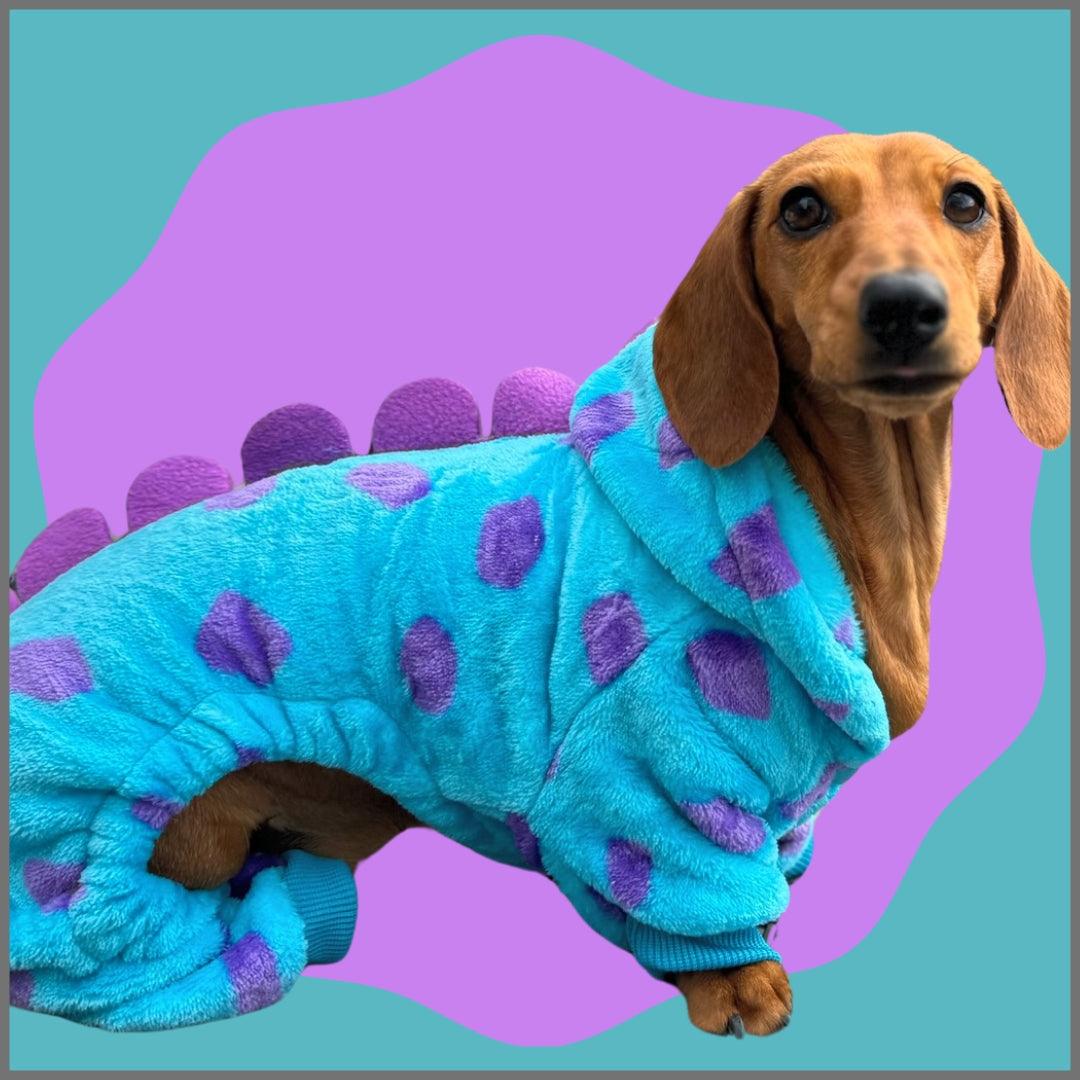 Dachshund Outfit - Little Monster
